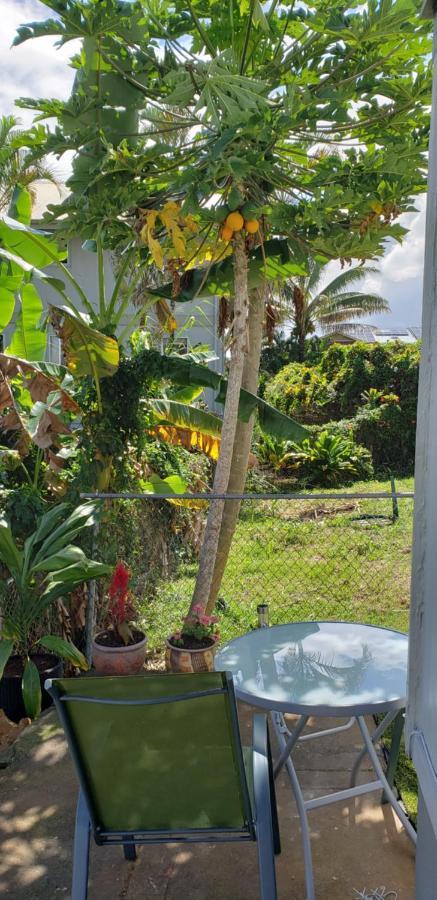 Somewhere Over The Rainbow Loft With Ac Hilo Exterior photo